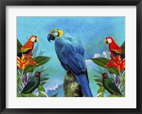 Bird Kingdom 4 Fine Art Print