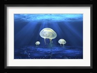 Jelly Fish 2 Fine Art Print