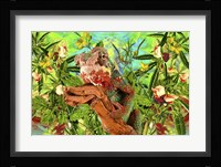 Lizard Fine Art Print