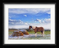 Winter On The Way Framed Print