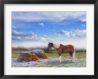 Winter On The Way Framed Print