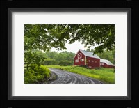 Coming Home Fine Art Print