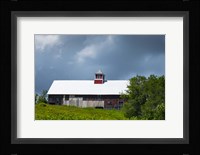 Old Red Barn Fine Art Print