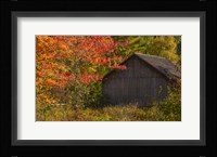 Taste of Vermont Fine Art Print