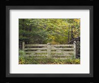 Gate And Country Path Fine Art Print