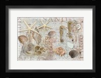 Beach Finds Fine Art Print