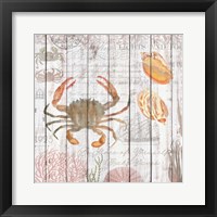 Crabs on Driftwood Panel Framed Print