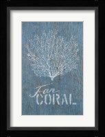 Fan Coral on Blue Framed Print