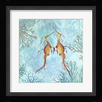 Marine Love Seadragons Framed Print