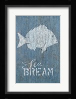 Seabream on Blue Framed Print