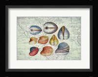 Seashells on Map II Fine Art Print