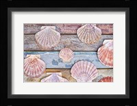 Pecten Shells on Planks Fine Art Print