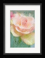 Summertime Roses I Fine Art Print