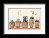 Succulent Window I Fine Art Print