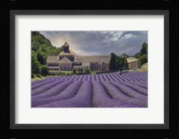 Lavender Fields of Abbaye de Senanque Framed Print