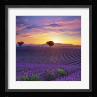 Lavender Sky Sunset Fine Art Print