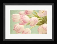 Tulips Bouquet Fine Art Print