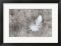 White Feather Fine Art Print