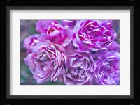 Roses on Canvas 4 Fine Art Print