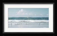 Shore Birds and a Sailboat Fine Art Print