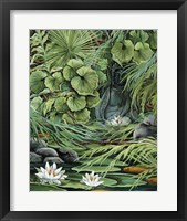Little Koi Pond Framed Print
