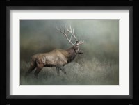 Meandering Fine Art Print