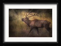 Sound of The Season Fine Art Print