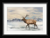 Experience Tranquility Fine Art Print