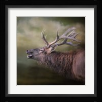 Storm Caller Fine Art Print