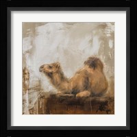 Summer Days Fine Art Print