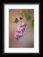 Tiny Miracle Fine Art Print