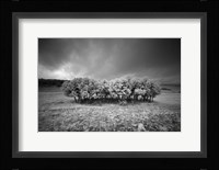 Atmospheres Fine Art Print