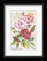 Summer Rose Postcard A Fine Art Print