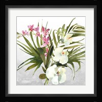 Beautiful Orchids A Fine Art Print