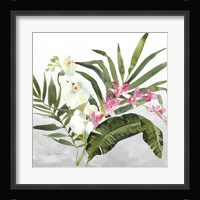 Beautiful Orchids B Fine Art Print