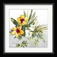 Beautiful Orchids C Fine Art Print
