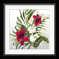 Beautiful Orchids D Framed Print