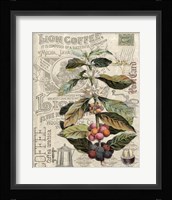 Lion Coffee Framed Print