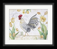 Seasonal Rooster 4 Framed Print