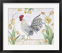 Seasonal Rooster 4 Framed Print