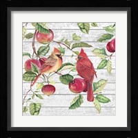 Fall Cardinals A Framed Print
