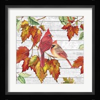 Fall Cardinals B Fine Art Print