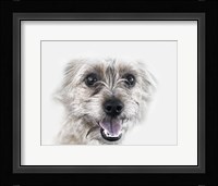 Happy Dog Fine Art Print