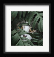 Sneaky Cat Fine Art Print