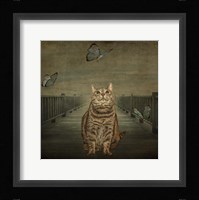 Cat and Butterflies Fine Art Print
