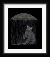Cat in Rain Fine Art Print