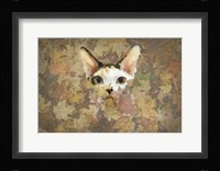 Kitty Fine Art Print