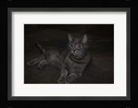 Lounging Leila Fine Art Print