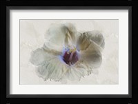 Yellow Wing Hibiscus Fine Art Print