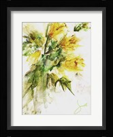 Daffodils Fine Art Print